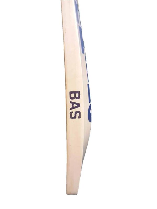 buy cricket bat
