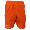 Buy ULTRA Shorts