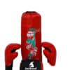 Buy junior boxing small kit