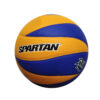 Buy star volleyball
