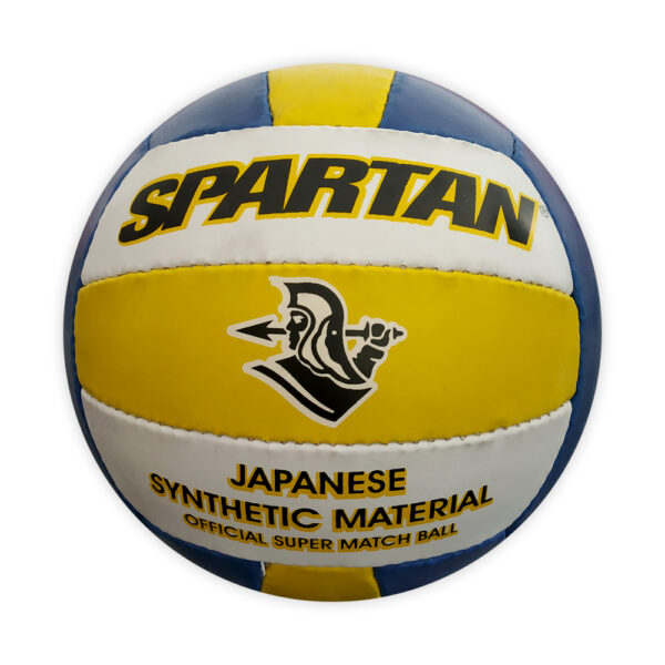 Buy japnese volleyball