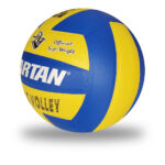 Buy lotus volleyball
