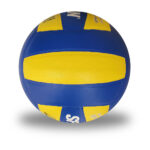 Buy lotus volleyball