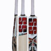 SS Master Kashmir Willow Cricket Bat -SH