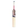 BAS Millennium cricket Bat